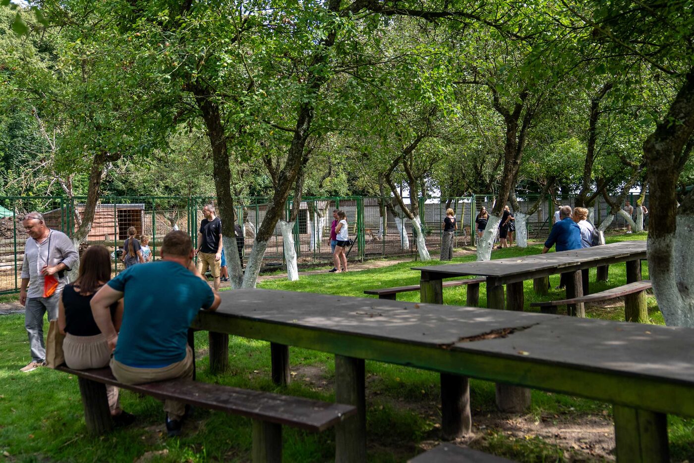 Park krajobrazowy wokół dworu w Cichowie