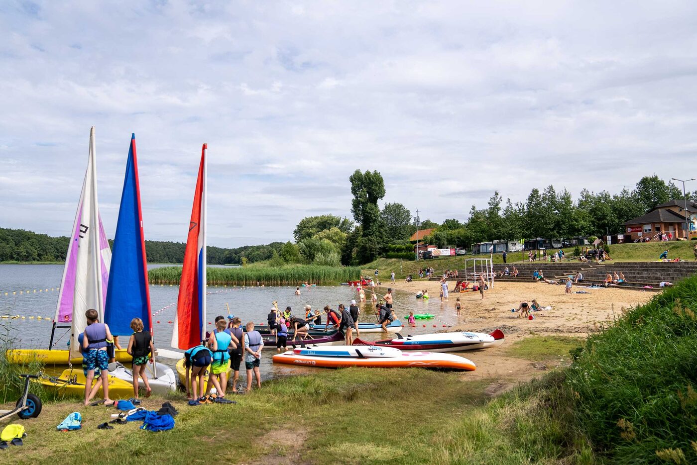 Brzeg Jeziora Cichowo z trzcinami i pomostem wśród sosen