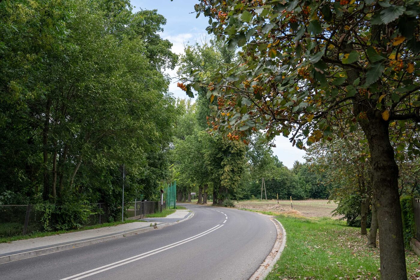 Pałac Chłapowskich w Kopaszewie — klasycystyczna rezydencja z 1801 r.